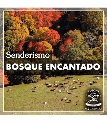 Bosque Encantado-Senderismo (Granada)